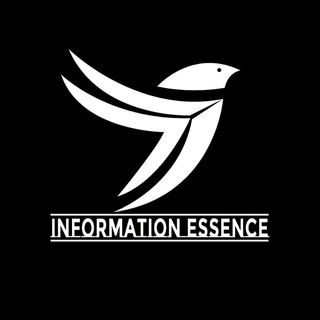 Information Essence